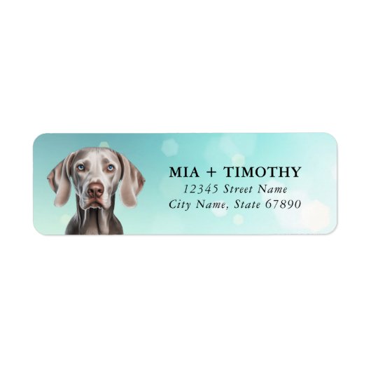 Weimaraner Rücksendeadressen-Aufkleber (Vorne)