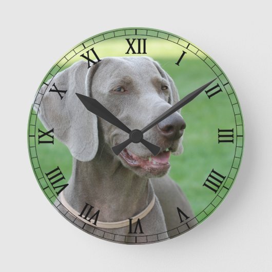 Weimaraner Runde Wanduhr (Vorderseite)
