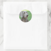 Weimaraner Runder Aufkleber (Tasche)