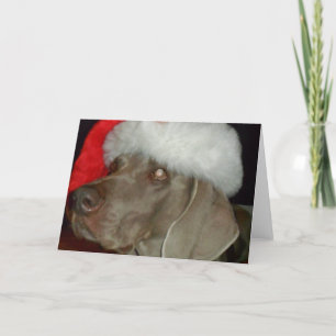 Weimaraner Santa Card Feiertagskarte