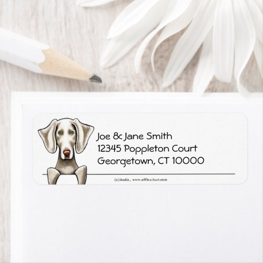 Weimaraner sauber und einfach (Insitu)