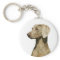 Weimaraner