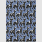 Weimaraner seidenpapier (Vorderseite)