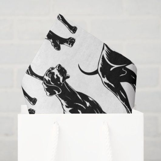 Weimaraner  seidenpapier (Geschenktüte)