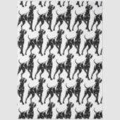 Weimaraner  seidenpapier (Vorderseite)