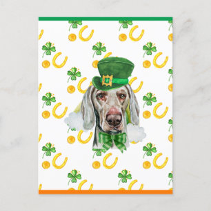 Weimaraner Shamrock St. Patricks Tag Feiertagspostkarte