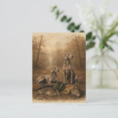 Weimaraner – Silberner Geisterjäger  Postkarte (Stehend Vorderseite)
