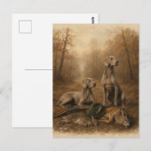 Weimaraner – Silberner Geisterjäger  Postkarte (Vorne/Hinten)