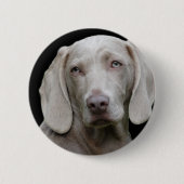 Weimaraner Silver Gray Button (Vorderseite)