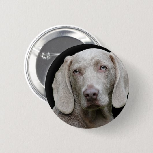 Weimaraner Silver Gray Button (Vorne & Hinten)