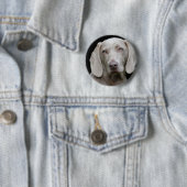 Weimaraner Silver Gray Button (Beispiel)