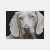 Weimaraner Silver Gray Fleecedecke (Vorderseite (Horizontal))