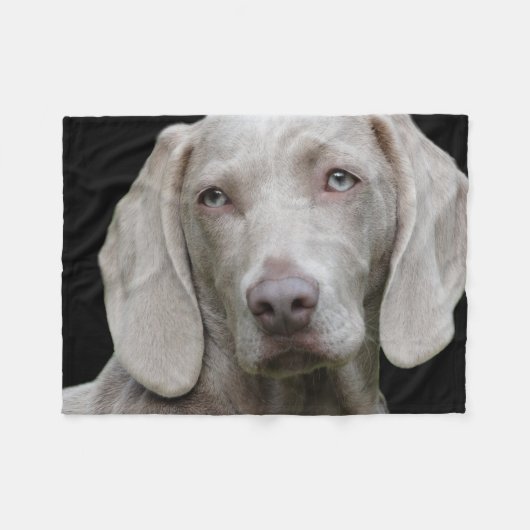Weimaraner Silver Gray Fleecedecke (Vorderseite (Horizontal))