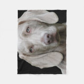 Weimaraner Silver Gray Fleecedecke (Vorderseite)