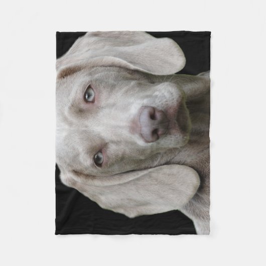 Weimaraner Silver Gray Fleecedecke (Vorderseite)