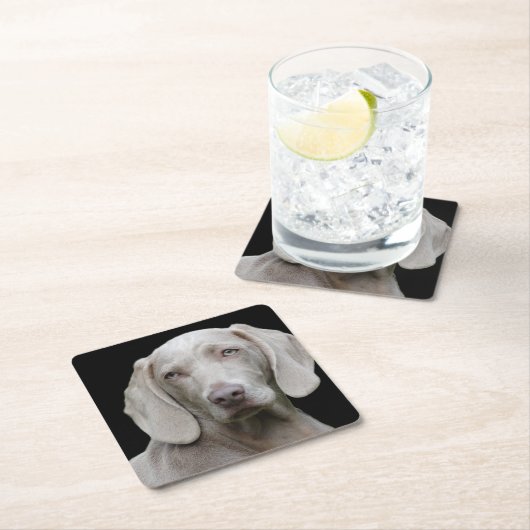 Weimaraner Silver Gray Rechteckiger Pappuntersetzer (Vor Ort)