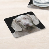 Weimaraner Silver Gray Rechteckiger Pappuntersetzer (angewinkelt)
