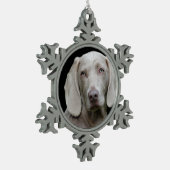 Weimaraner Silver Gray Schneeflocken Zinn-Ornament (Links)