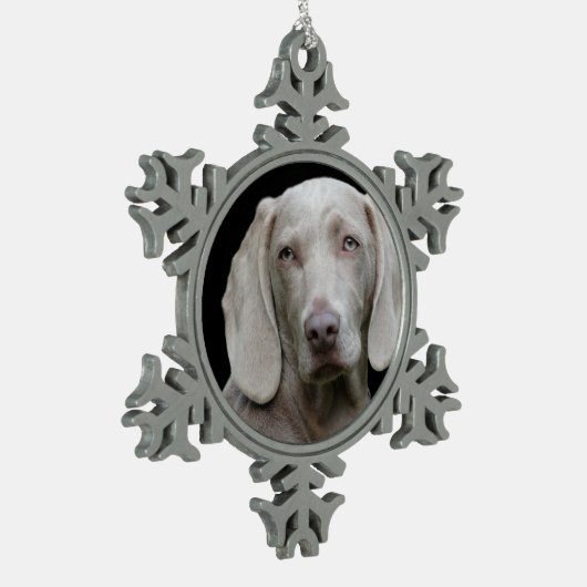 Weimaraner Silver Gray Schneeflocken Zinn-Ornament (Links)