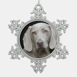 Weimaraner Silver Gray Schneeflocken Zinn-Ornament