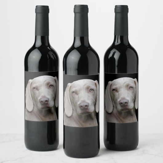 Weimaraner Silver Gray Weinetikett (Flaschen)
