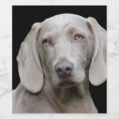 Weimaraner Silver Gray Weinetikett (Einzelnes Label)