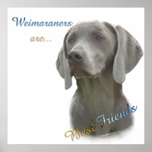 Weimaraner sind Best Friends Poster (Vorne)