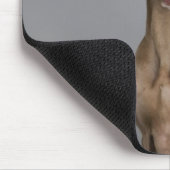 Weimaraner sitzend, Studio-Aufnahme Mousepad (Ecke)