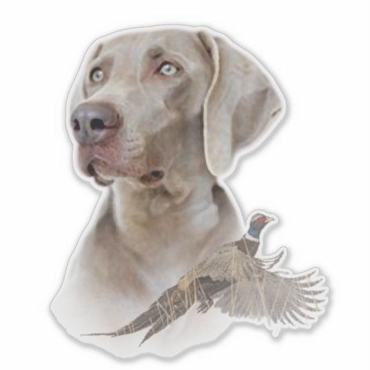 Weimaraner Sticker (Vorderseite)