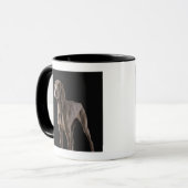 Weimaraner, Studioschuß Tasse (Vorderseite Links)