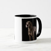 Weimaraner, Studioschuß Tasse (VorderseiteRechts)