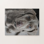 Weimaraner Süsse Pie Puzzle (Horizontal)
