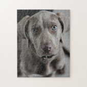 Weimaraner Süsse Pie Puzzle (Vertikal)