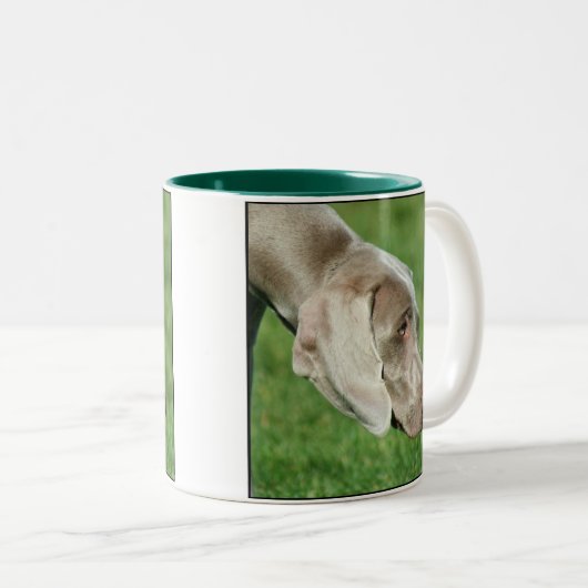 Weimaraner Tasse (VorderseiteRechts)