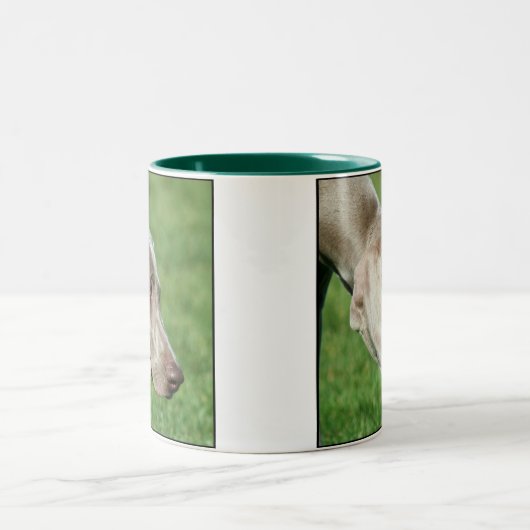 Weimaraner Tasse (Mittel)