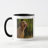 Weimaraner Tasse (Links)
