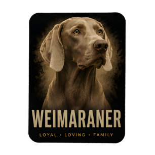 Weimaraner treuer liebender Familienhund-Porträt Magnet
