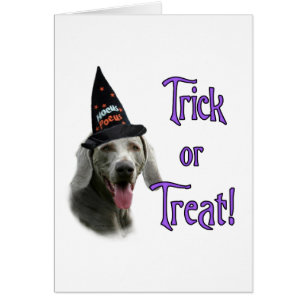 Weimaraner Trick