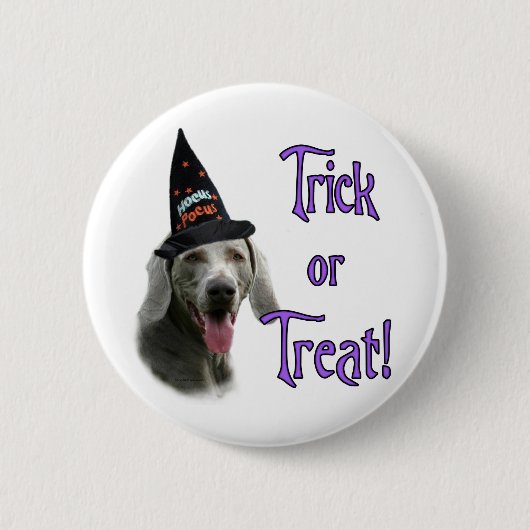 Weimaraner Trick Button (Vorderseite)