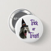 Weimaraner Trick Button (Vorne & Hinten)