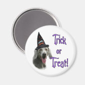 Weimaraner Trick Magnet (Vorderseite/Rückseite)