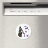 Weimaraner Trick Magnet (In Situ (Geschirrspüler))