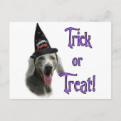 Weimaraner Trick Postkarte (Vorderseite)