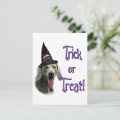 Weimaraner Trick Postkarte (Stehend Vorderseite)