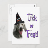 Weimaraner Trick Postkarte (Vorne/Hinten)