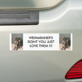 WEIMARANER TUN NICHT SIE GERADE LIEBE SIE AUTOAUFKLEBER (Auf Auto)