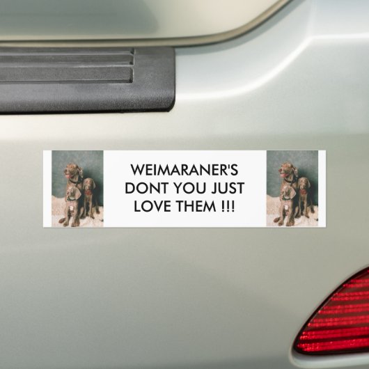 WEIMARANER TUN NICHT SIE GERADE LIEBE SIE AUTOAUFKLEBER (Auf Auto)