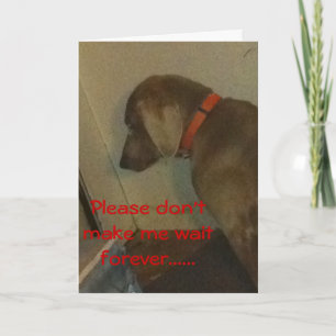 Weimaraner Valentine Feiertagskarte