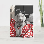 Weimaraner Valentinkarte Dankeskarte (Vorderseite)