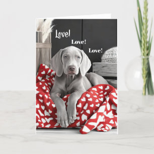 Weimaraner Valentinkarte Dankeskarte
